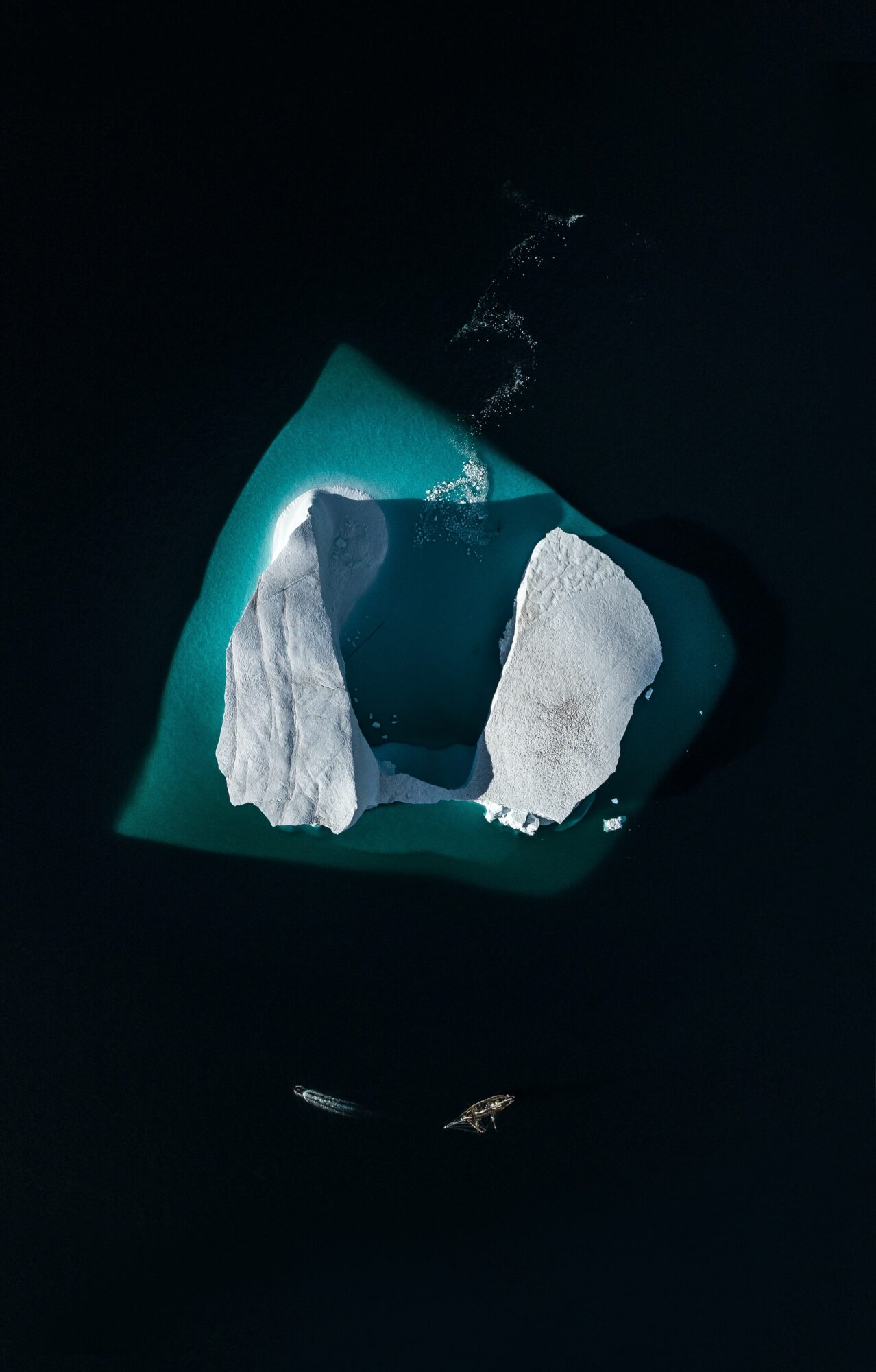 annie-spratt-Nvq1vngu4ZQ-unsplash